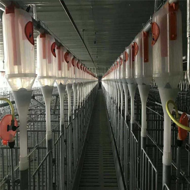 【猪舍料线】广西温氏专用猪舍料线设备全自动猪舍饲喂设备直销