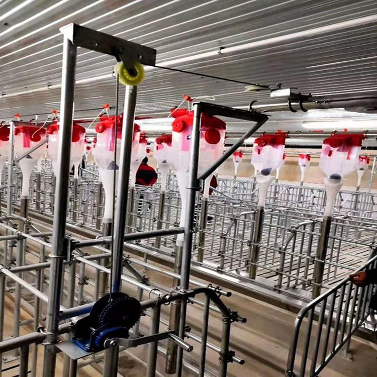 【母猪喂料设备】全自动母猪舍喂料设备一键操作养猪场专用料线设备省