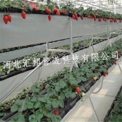 石家庄立体无土栽培草莓种植槽