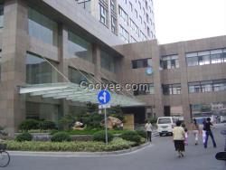 森林绿石材产地  河北石材森林绿厂家 森林绿石材供应商