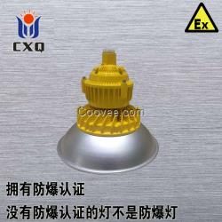 led防爆灯10w led防爆灯20w