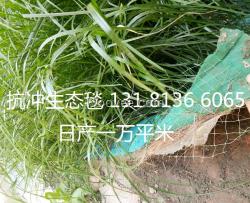 加筋椰丝毯 公路绿化椰丝毯 环保草毯 植物纤维毯