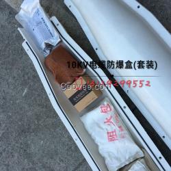 德力安10KV电缆防爆盒 电缆中间接头盒现货供应