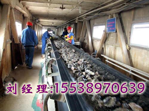 重慶輸送機廠家生產各種型號的輸送設備