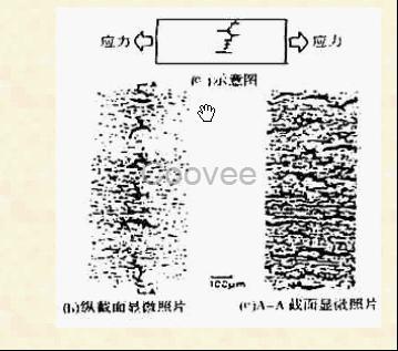 铸件阀门不锈钢HIC+SSC双抗腐蚀检测