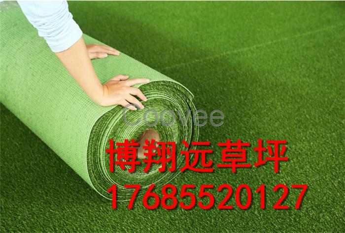 棗莊學(xué)校操場人工草坪單價(jià)