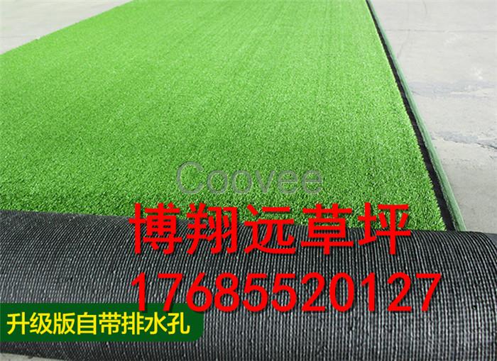 棗莊學(xué)校操場人工草坪單價(jià)