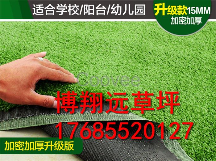 棗莊學(xué)校操場人工草坪單價(jià)