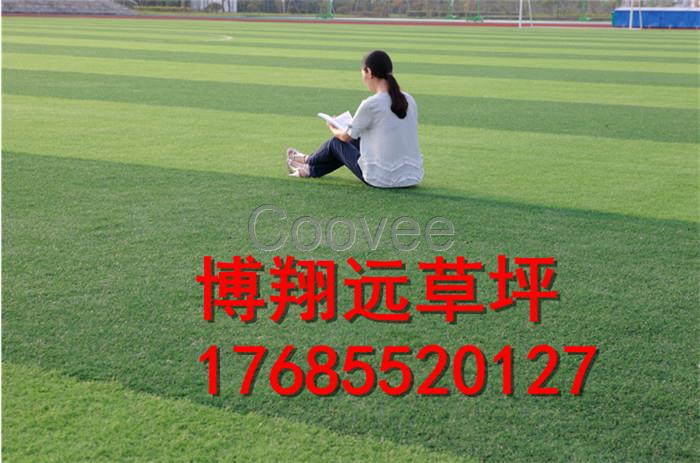 中小學操場專用人工草坪批發銷售#濟寧