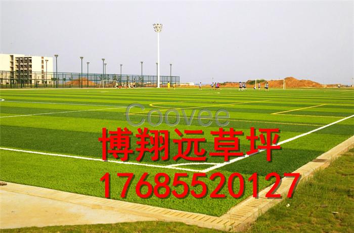 中小學操場專用人工草坪批發銷售#濟寧