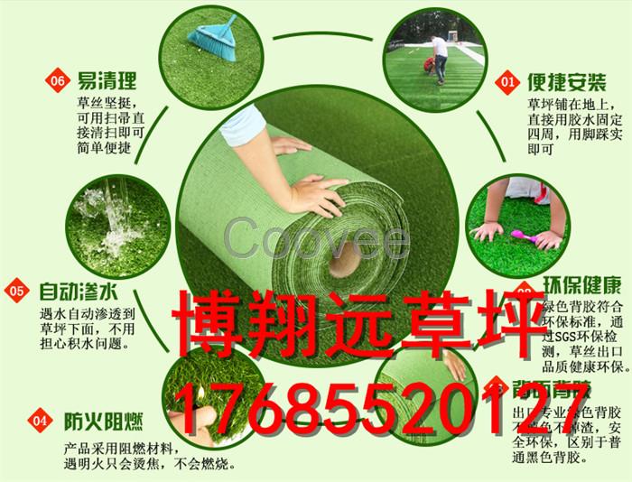 淺析人造草坪與天然草坪利與弊