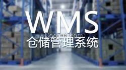 【wms仓储系统】wms系统_wms管理系统_以大wms