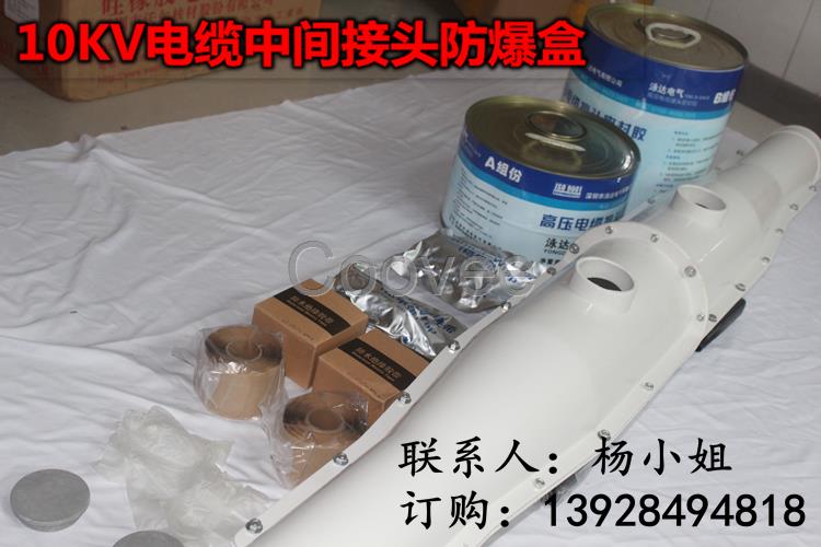 玻璃鋼電纜防爆盒電纜中間接頭保護盒