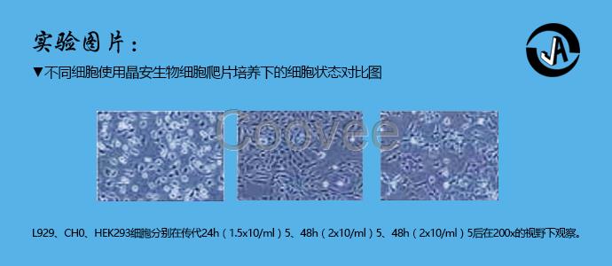 上海百千生物J06001圆形方形细胞爬片6孔板配套用盖玻片