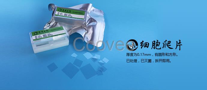 上海百千生物J06001圆形方形细胞爬片6孔板配套用盖玻片