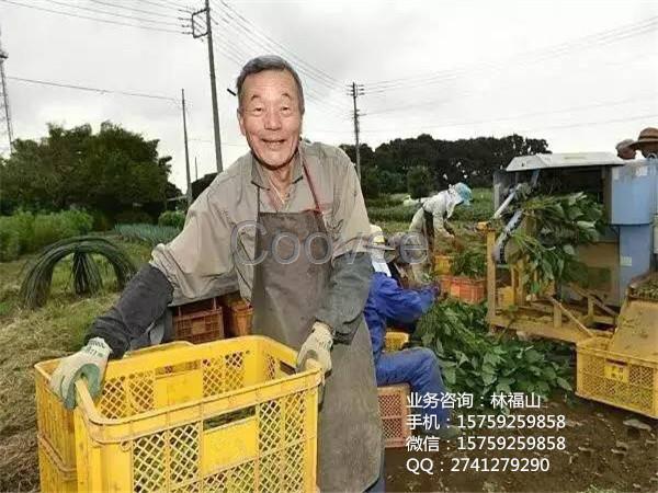 广西新型肥料供应商拥有贴心的服务团队