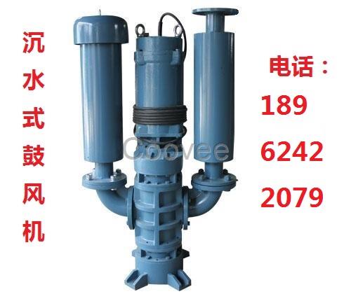 低噪音-河道曝气专用鼓风机-瑞柘沉水式鼓风机