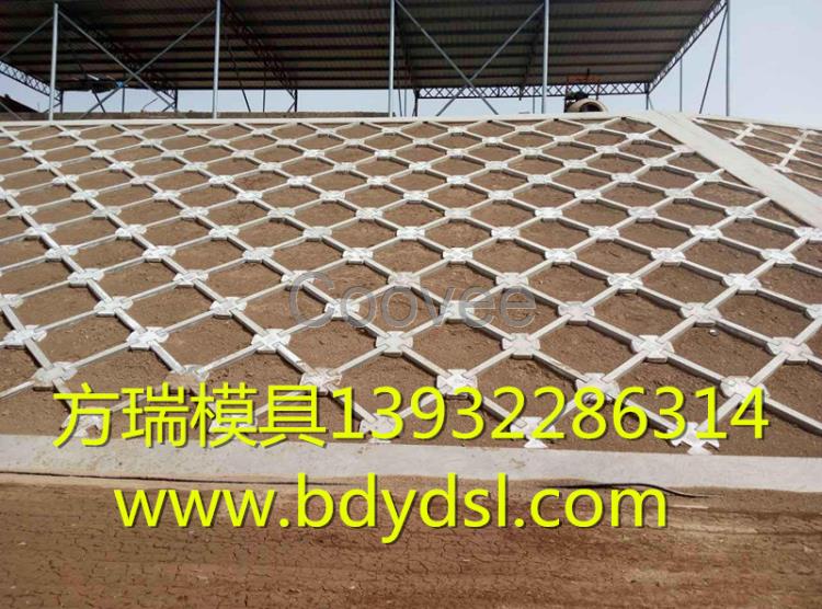 生態護坡模具-生態護坡模具