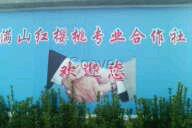 河北核桃苗石家庄核桃苗赞皇核桃苗湖北核桃苗满山红苗木批发