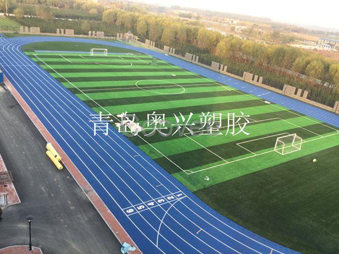 山东塑胶跑道生产厂家塑胶跑道材料施工