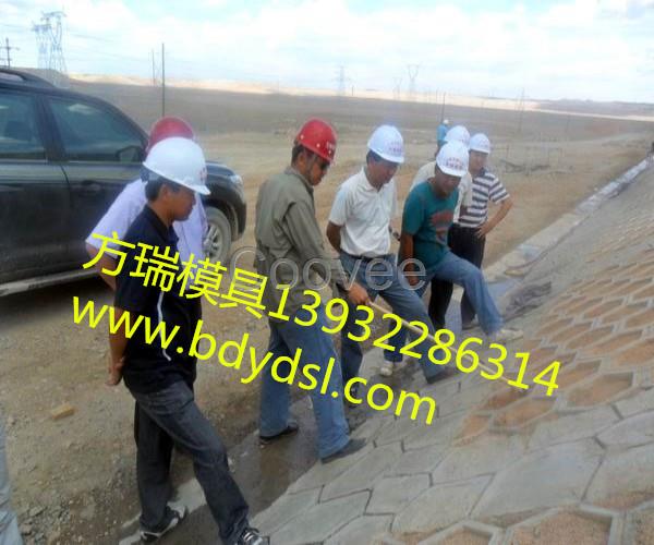 實心六角護坡模具批發-實心六角護坡模具批發