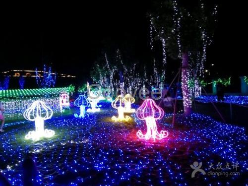 夢幻燈光藝術節(jié)出售燈光節(jié)廠家園林綠雕廠家園林綠雕工廠