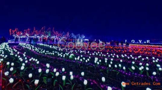 夢幻燈光藝暖場商業大型活動廠家燈光展廠家