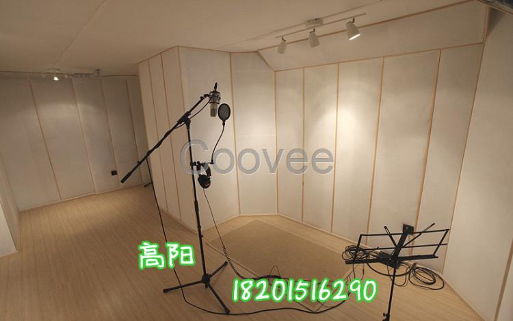 實景校園電視臺演播室建設超清虛擬藍箱幕布燈光摳像