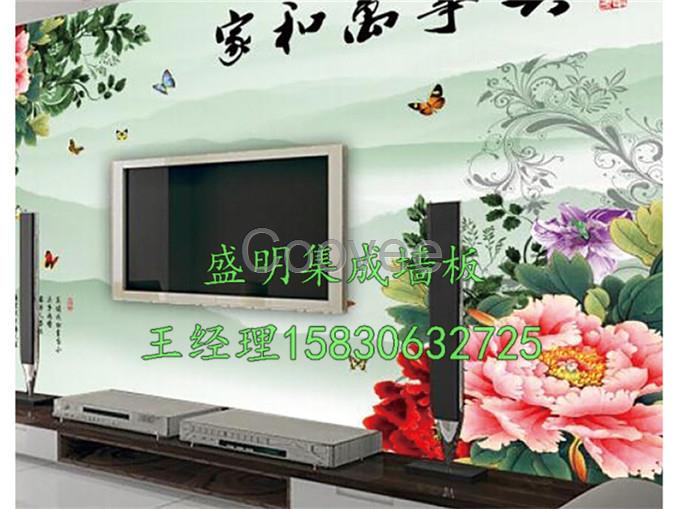 生態(tài)集成墻面背景墻