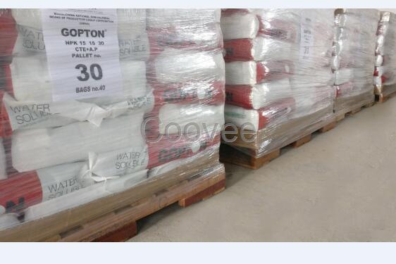 英國原裝果頓特種肥料大量元素水溶肥