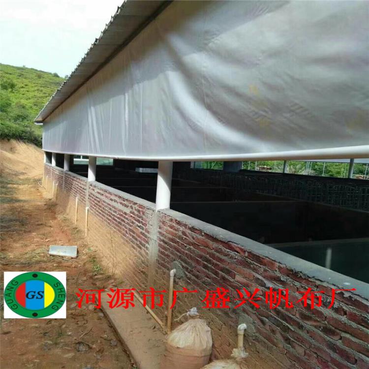 福建猪场卷帘-福建猪场卷帘布加工-猪场保温卷帘