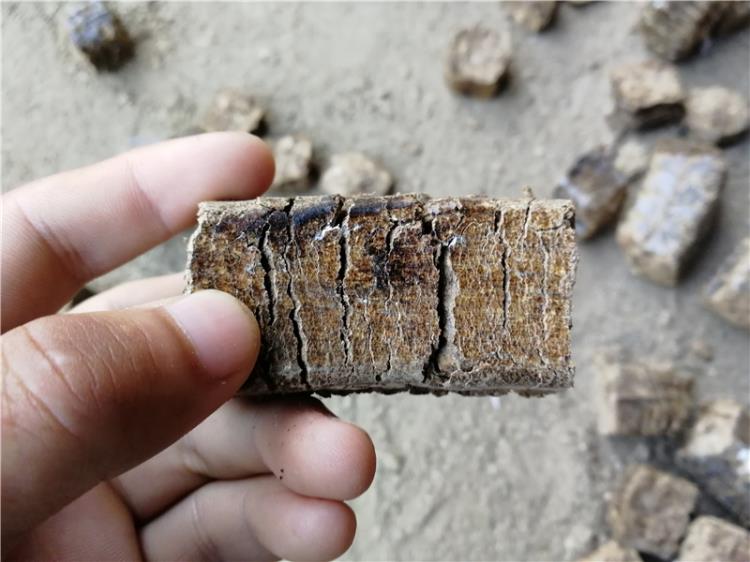 寶雞生物質(zhì)壓塊燃料