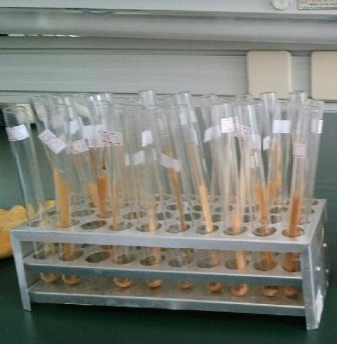 病毒采集中心 smcode20 試管標簽