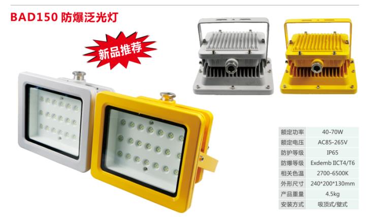 BLED9117防爆巷道燈 40W 50W 60W 70W