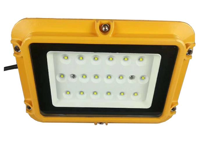 BLED9117防爆巷道燈 40W 50W 60W 70W