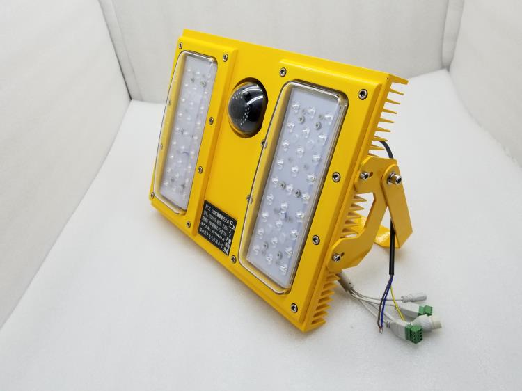 BFC8118 防爆攝像燈 120W