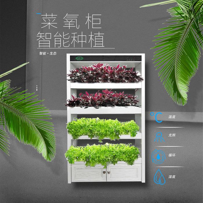 【智能种植机】润康园 智能菜氧柜 生态制氧机