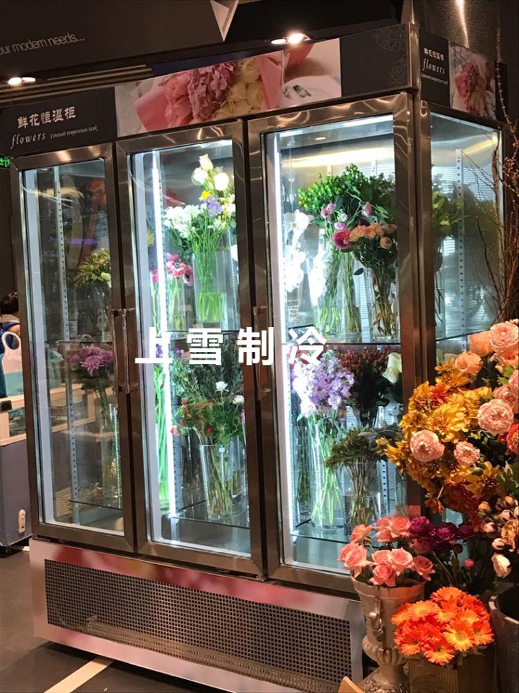 定做鲜花展示柜厂家 风冷鲜花保鲜柜成都