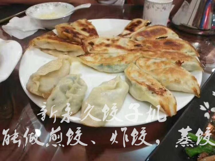 山东新全自动包合式水饺机