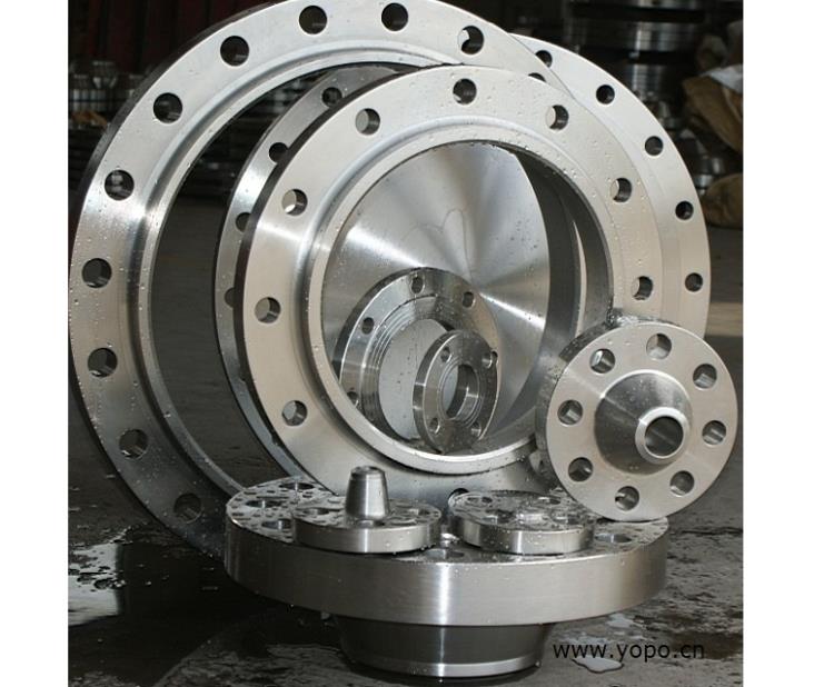 廈門 廠家直銷 富蘭克林 食品級304不銹鋼 DN100法蘭