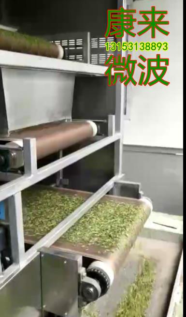 山东康来微波茶叶杀青机 绿茶杀青设备