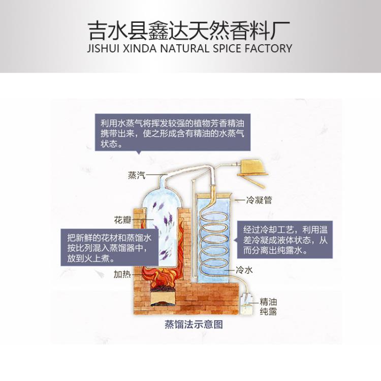 现货供应玫瑰精油10ml 玫瑰花油 美容香薰spa精油化妆品