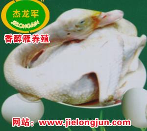 香鹑雁加盟连锁