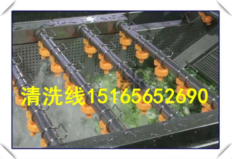 果蔬清洗机 蔬菜清洗机 蔬菜清洗设备找诸城佳品食品机械