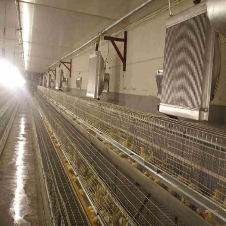 養豬加溫鍋爐廠家直銷溫控養殖鍋爐現貨直達