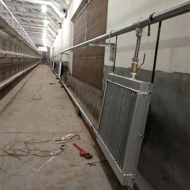 溫度有你而定養殖溫控鍋爐雞場供暖鍋爐豬舍養殖鍋爐