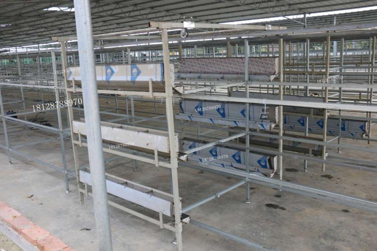 【鸽子自动喂料机】食糟自动料桶喂水器器 鸡鸭鹅鸽子自动下料桶