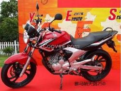 供應(yīng)雅馬哈天劍YBR250摩托車新報(bào)價(jià)