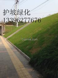 河南植物纤维毯公路绿化，边坡防护