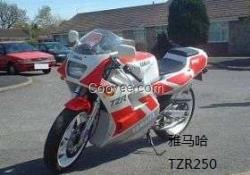 供應(yīng)雅馬哈TZR250摩托車